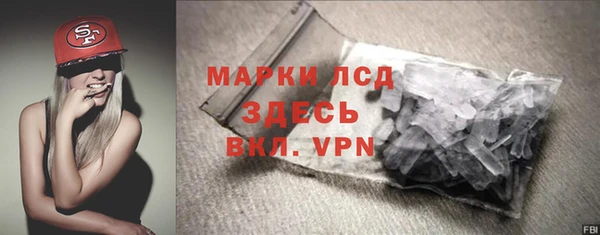 PSILOCYBIN Алзамай