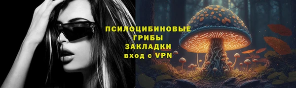PSILOCYBIN Алзамай