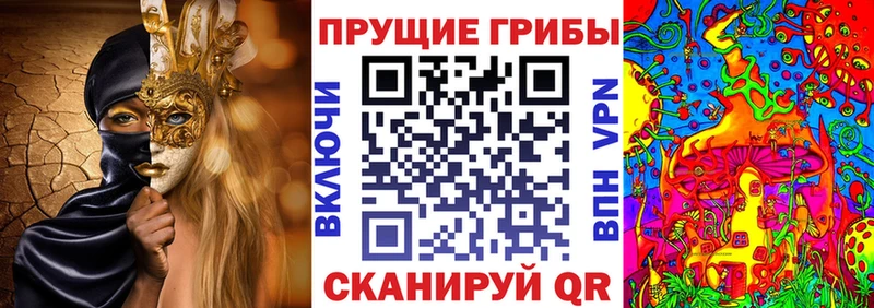 Псилоцибиновые грибы GOLDEN TEACHER  Искитим 