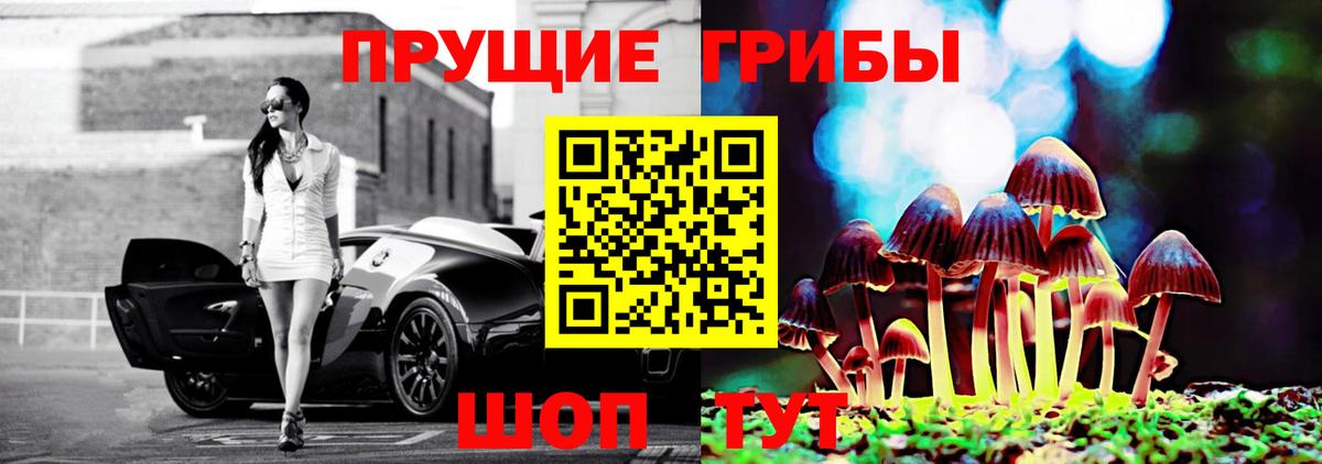 Псилоцибиновые грибы MAGIC MUSHROOMS  Галлюциногенные грибы мухоморы  Искитим  Вход с VPN 